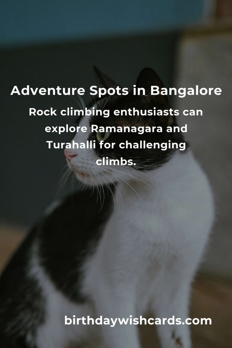 Ultimate Budget Guide to Adventure Spots in Bangalore