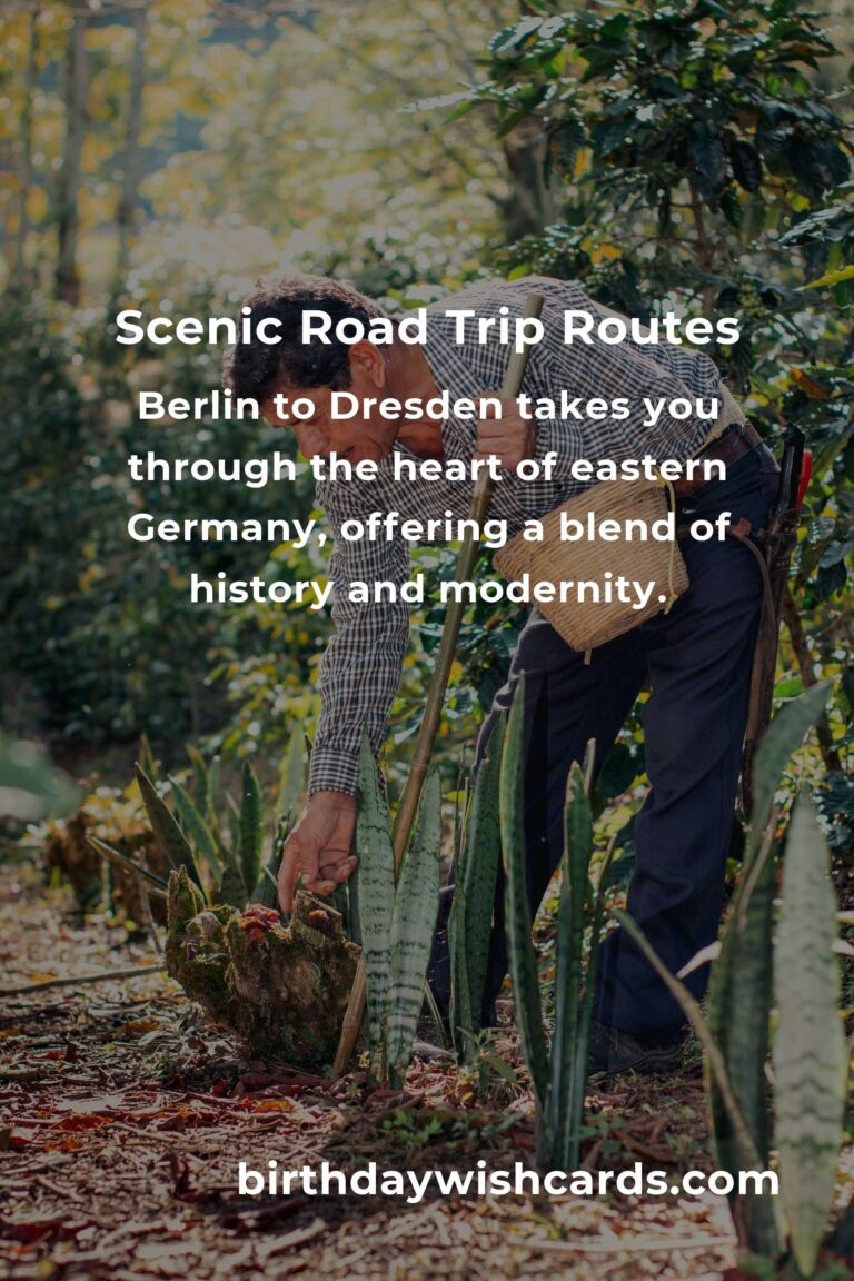 Ultimate Guide to Road Trip Routes in Berlin