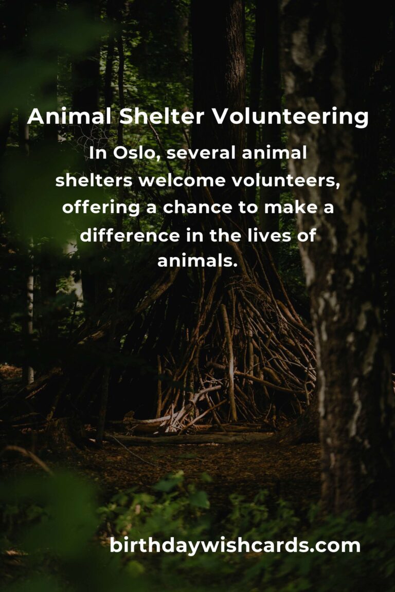 Ultimate Guide to the Best Animal Shelter Volunteer Programs in Oslo