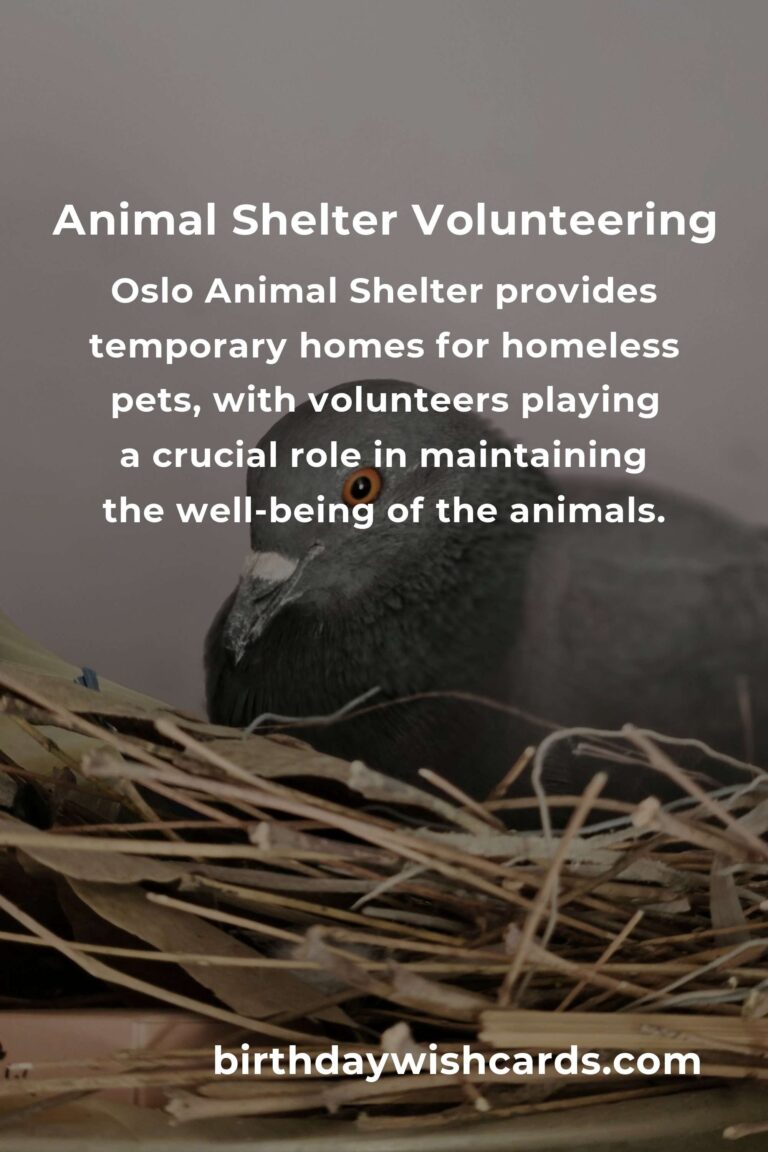 Ultimate Guide to the Best Animal Shelter Volunteer Programs in Oslo