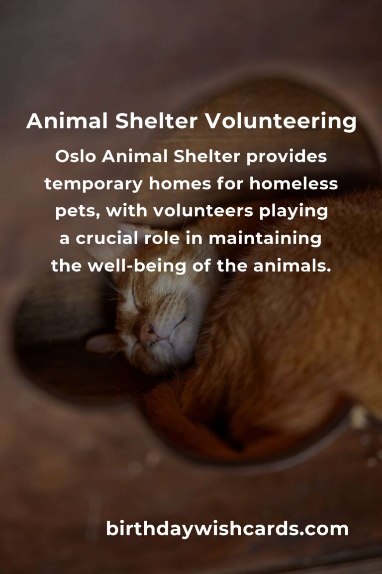 Ultimate Guide to the Best Animal Shelter Volunteer Programs in Oslo