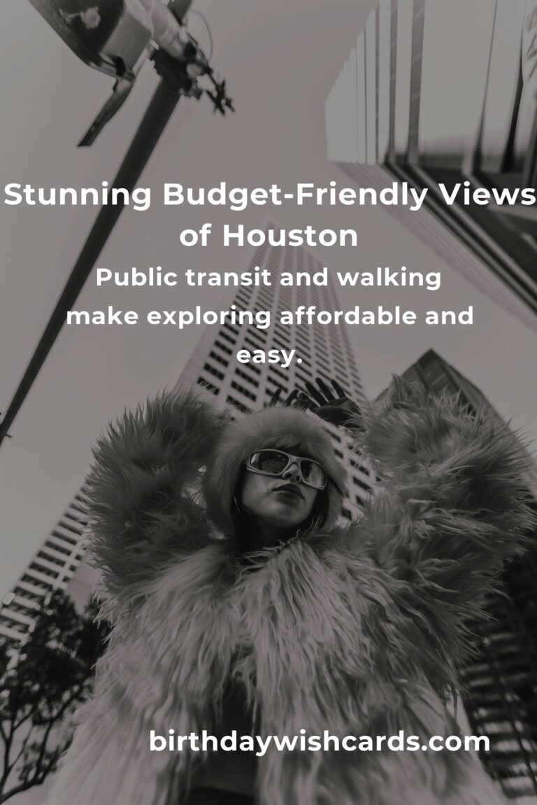 Unlock Houston: An Emotional & Practical Budget Guide to City Breaks in the Heart of Texas