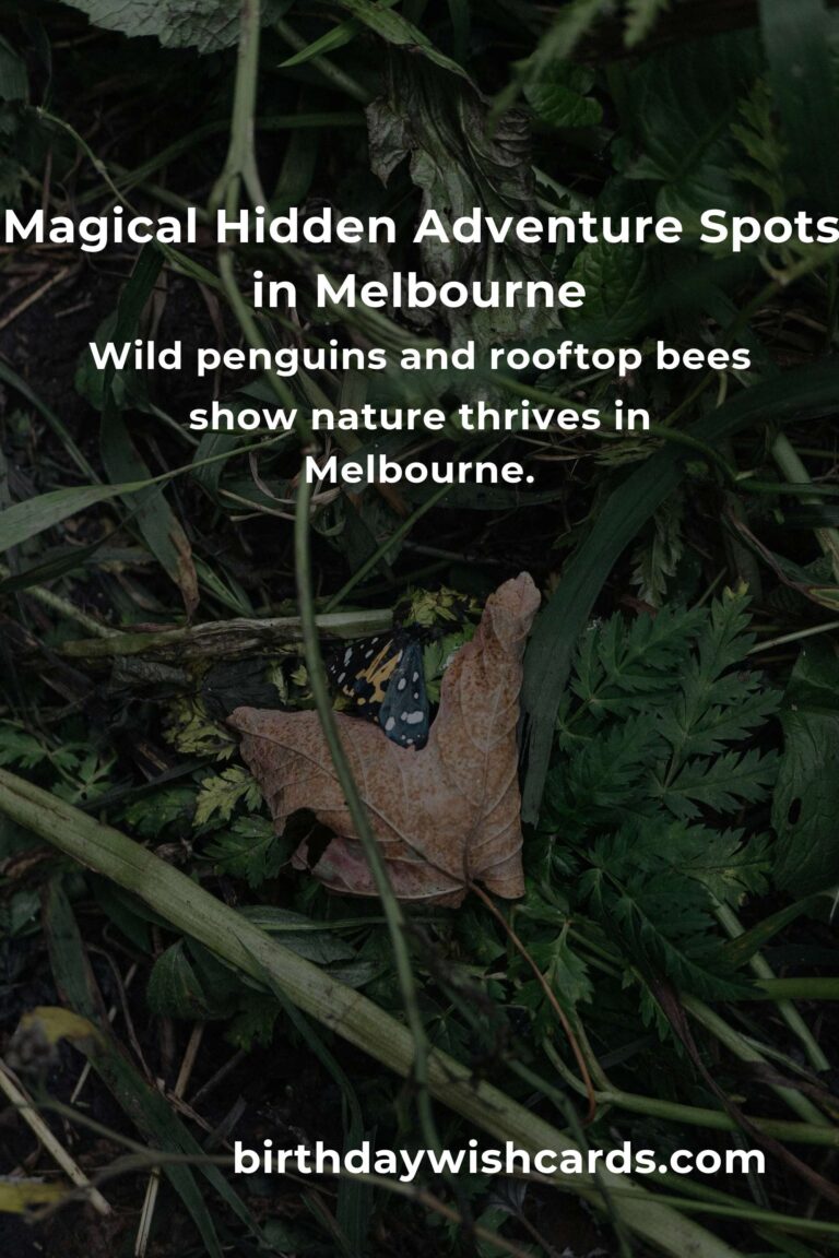Unlock Melbourne’s Secrets: 10 Hidden Adventure Spots You’ll Fall in Love With