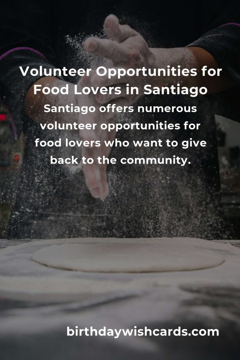 Volunteer Opportunities for Food Lovers in Santiago: A Culinary Journey for a Cause