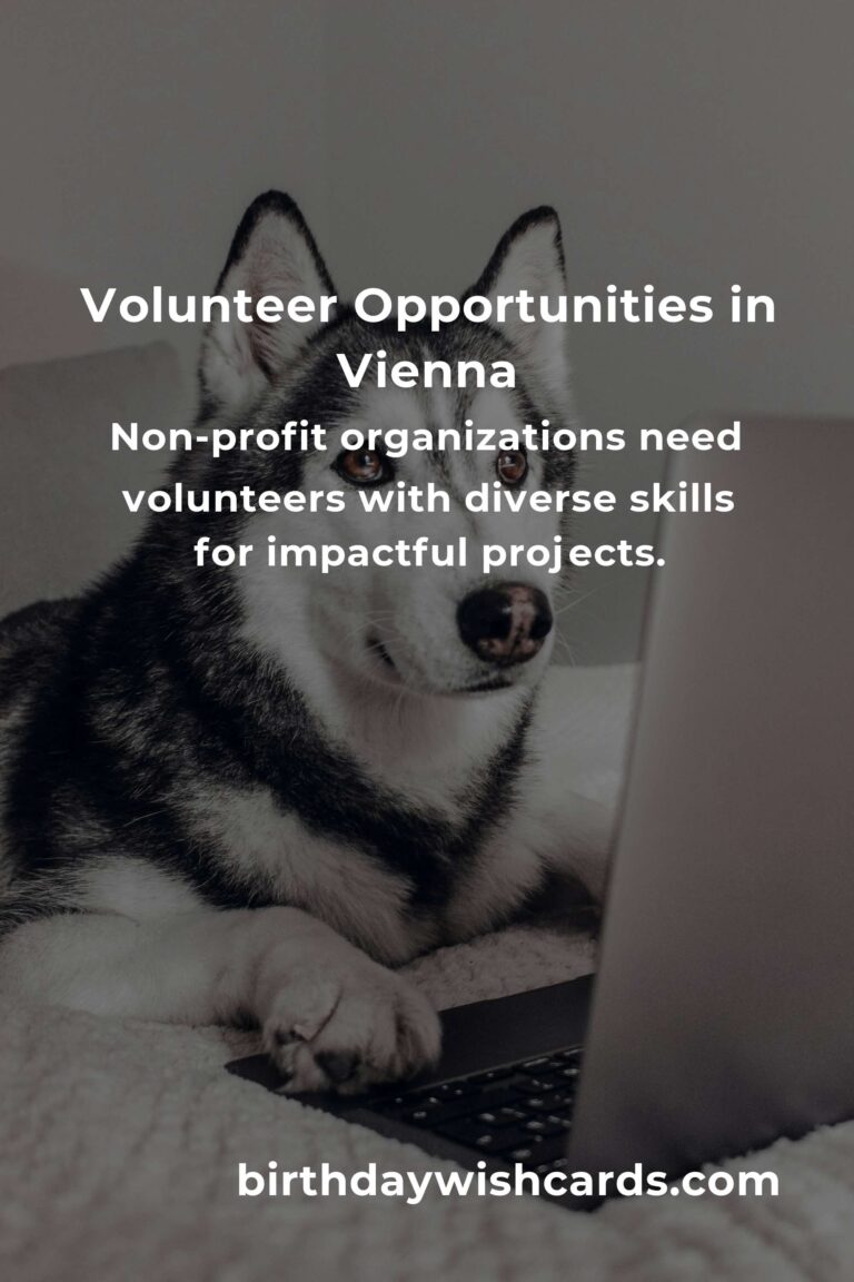 Volunteer Opportunities for Freelancers in Vienna: Enhance Your Skills and Network